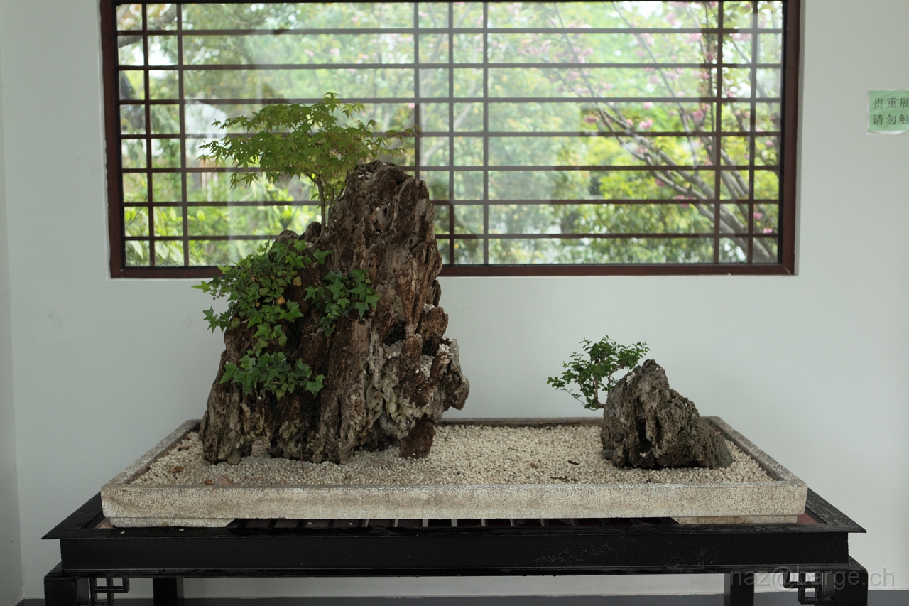 EOS 5D Mark II16_04_20135092.JPG